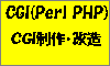 CGI(Perl PHP)S100x60_1