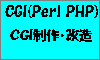 CGI(Perl PHP)S100x60_3