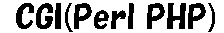 CGI(Perl PHP)S