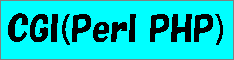 CGI(Perl PHP)S234x60_2